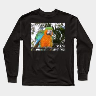 Harlequin Macaw Long Sleeve T-Shirt